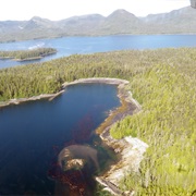 Black Sands Beach State Marine Park