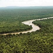 Niokolo Koba National Park, Senegal