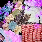 I Won the Pageant - 4th Curtis