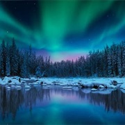 See the Northern Lights in Alaska