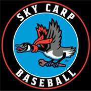 Beloit Sky Carp (A+)