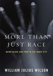 More Than Just Race: Being Black and Poor in the Inner City (William Julius Wilson)