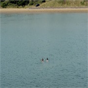 Catastrophe: "Episode 6" (S4,E6)