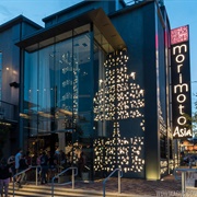 Morimoto Asia