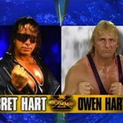 Bret Hart vs. Owen Hart - Wrestlemania 10