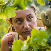 Tippy (Under the Vines)