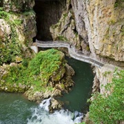 Karst Biosphere Reserve, Slovenia
