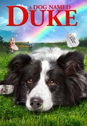 Duke (2012)