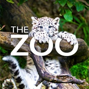 The Zoo