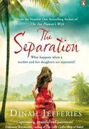 The Separation (Jeffries, Dinah)