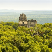Maya Biosphere Reserve, Guatemala