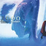 Fleshwater - 2000: In Search of the Endless Sky