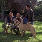 S8.E23: A Day in May