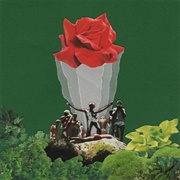 First Bloom - Saint Mela