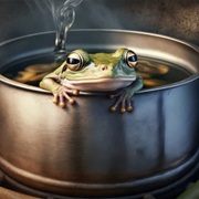 Boiling Death Frog Hot Pot