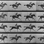Sallie Gardner at a Gallop (Eadweard Muybridge)