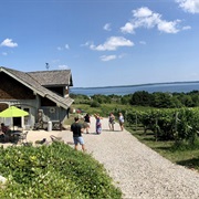 Wineries in Traverse City, Michigan