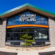 Clyde Peeling's Reptiland