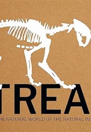 Treasures of the Museum, Victoria, Australia (Museum Victoria)