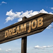 Look for Your Future Dream Job