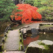 Highline Seatac Botanical Garden
