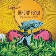 Head of Femur - Hysterical Stars