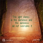 The Light Shines in the Darkness