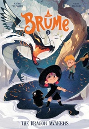Brume, Vol. 1: The Dragon Awakens (Jérôme Pélissier)