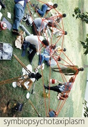 Symbiopsychotaxiplasm (1968)