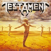 Practice What You Preach - Testament