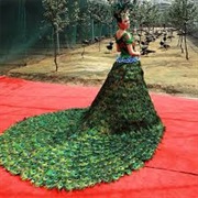 Peacock Theme Wedding Dress