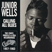 She's a Sweet One - Junior Wells