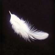 Someone With That Kind of Intensity (Headgehug)