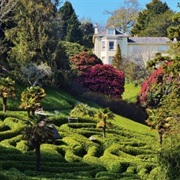 Glendurgan Garden, Cornwall, UK