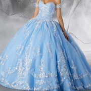 Metallic Lace Appliques on Dress