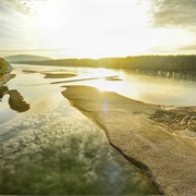 Nationalpark Donauauen