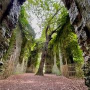 The Witch's Leg at St Mary's Church