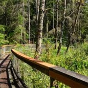 West Hylebos Wetlands Park, Federal Way