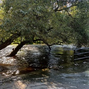 Sondre Lerche - Sea of Sighs