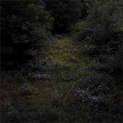 Higher Lonely Power (Fireworks, 2023)