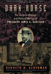 Dark Horse: The Surprise Election and Political Murder of President James A. Garfield (Kenneth D. Ackerman)