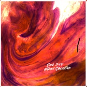 Funky Galileo- Sure Sure