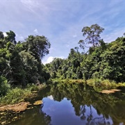 Sakaerat Biosphere Reserve, Thailand