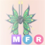 ･､²⁰²⁵ ᵇⁱʳᵗʰᵈᵃʸ ᵇᵘᵗᵗᵉʳᶠˡʸ