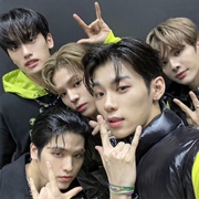 GANG Korean Chipmunk