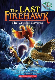 The Crystal Caverns (Katrina Charman)