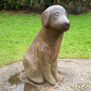 Lucky Dog of Todmorden