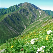 Minami Alps National Park, Honshū, Japan