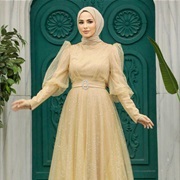 Sheer Top Layer Creating Puff Sleeves Over Tight Sleeves