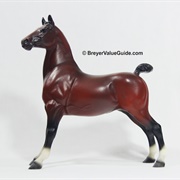 Aristocrat Champion Hackney